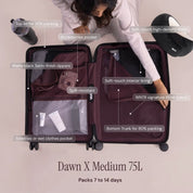 Dawn X Set of 3 - Cabin + Medium + Large