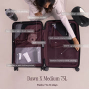 Dawn X Check-In Medium