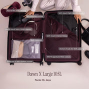 Dawn X Check-In Large