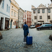 Oversized travel trolley bag
